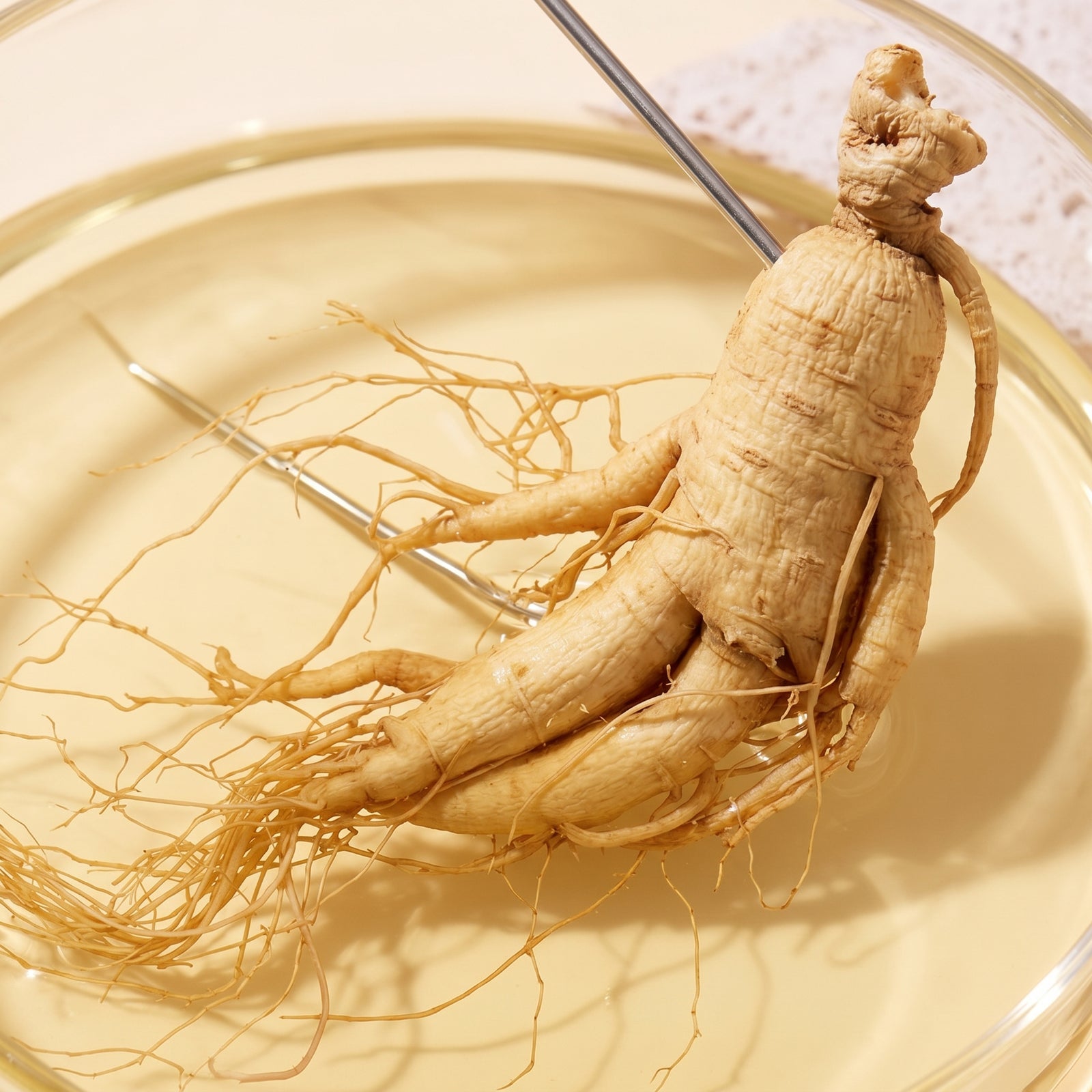 Why Ginseng Extract Works The Best For Wrinkles